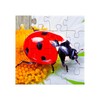 Icona di Insects Puzzle