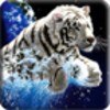 3D Tiger icon