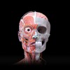 Icono de Anatomy 3D Atlas