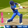 Cricket Game: Bat Ball Game 3D icon