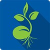 أيقونة WISDOM360