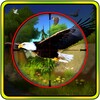 Jungle Birds Sniper Hunts icon