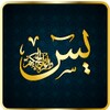 Surah Yaseen Urdu आइकन