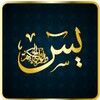 Surah Yaseen Urdu simgesi