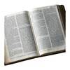 أيقونة My Bible