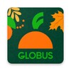 Globus 아이콘