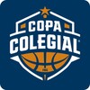 Copa Colegial icon