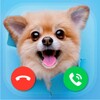 Fake Call Dogs Prank icon