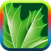 Nature ringtones icon