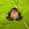 Icono de Pocket Frogs