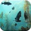 Aquarium HD Live Wallpaper icon