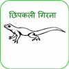 Chhipkali girana (in Hindi) icon