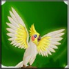 Flapy bird icon