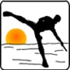 Nano Fighting icon