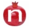 Nar Dictionary icon