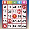 Bingo - Offline Bingo Games 图标