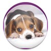 Free Puppy Dog Wallpaper icon