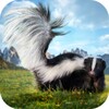 Skunk Simulator 3D icon