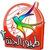 Toyor aljanah video icon