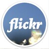 Muzei Flickr icon