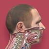 أيقونة Pirogov Anatomy