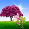 Sakura Live Wallpaper Lite simgesi