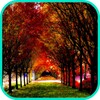 Autumn Wallpaper icon