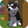 Cute Pocket Puppy 3D - Part 2 icon