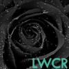 Black Rose live wallpapers icon