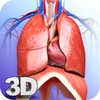 Respiratory System Anatomy Pro icon