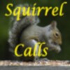 Squirrel Calls icon