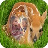 Baby Animals Frame icon