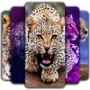 Leopard Wallpaper icon