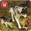 Wild Life Wolf Simulator icon