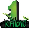 Radio 1 Unu Manele icon