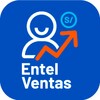 Pictogramă Entel Ventas