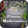 Plantas Medicinales y Curativas icon