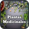 Икона Plantas Medicinales y Curativas