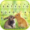 Kiss Bunny Keyboard Background icon