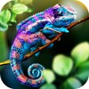 Chameleon Wild Life Sim 3D icon