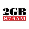 2GB 873 icon