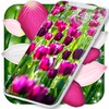 Spring Petals Live Wallpaper icon