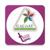 Galwaykart icon