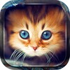 Cute Cats Live Wallpaper icon