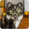 Talking Cat Funny icon