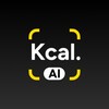 Icono de CalCam