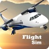 Icono de Flight Sim
