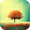 mrfarts Apps-Awesome Land Free icon