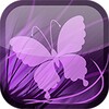 Lilac Butterfly Live Wallpaper icon
