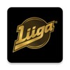 Liiga icon